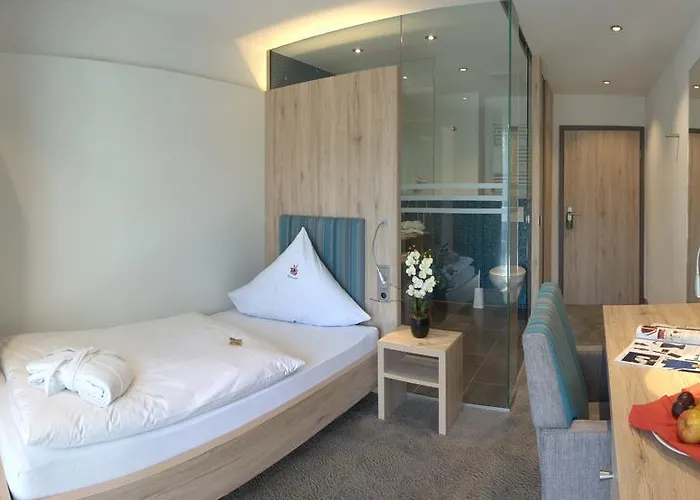 호텔 Salinensee 바트두르하임